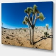 thumbnail image 2 of Arbre de Joshua dans le Désert Ouvert - Impression sur Toile Paysage, 2 of 4