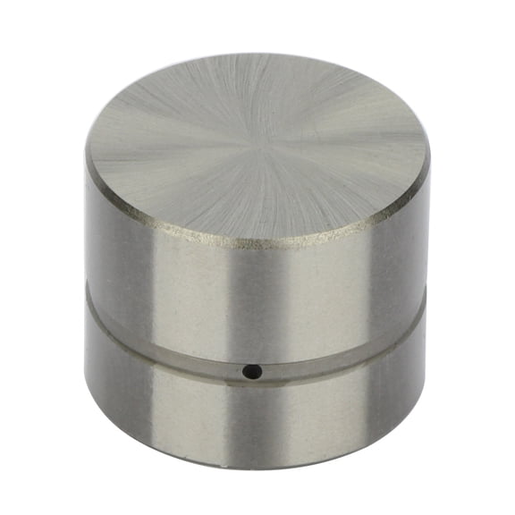 SCITOO 4X Engine Hydraulic Adjuster Lifter Fit for 2004-2008 for Chevy Aveo 1999-2002 for Daewoo Lanos 1999-2002 for Daewoo Lanos Lash Adjusters LIFIS16 CNT506 96376400