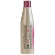 Salerm Hi Repair Shampoo (9.0 oz)