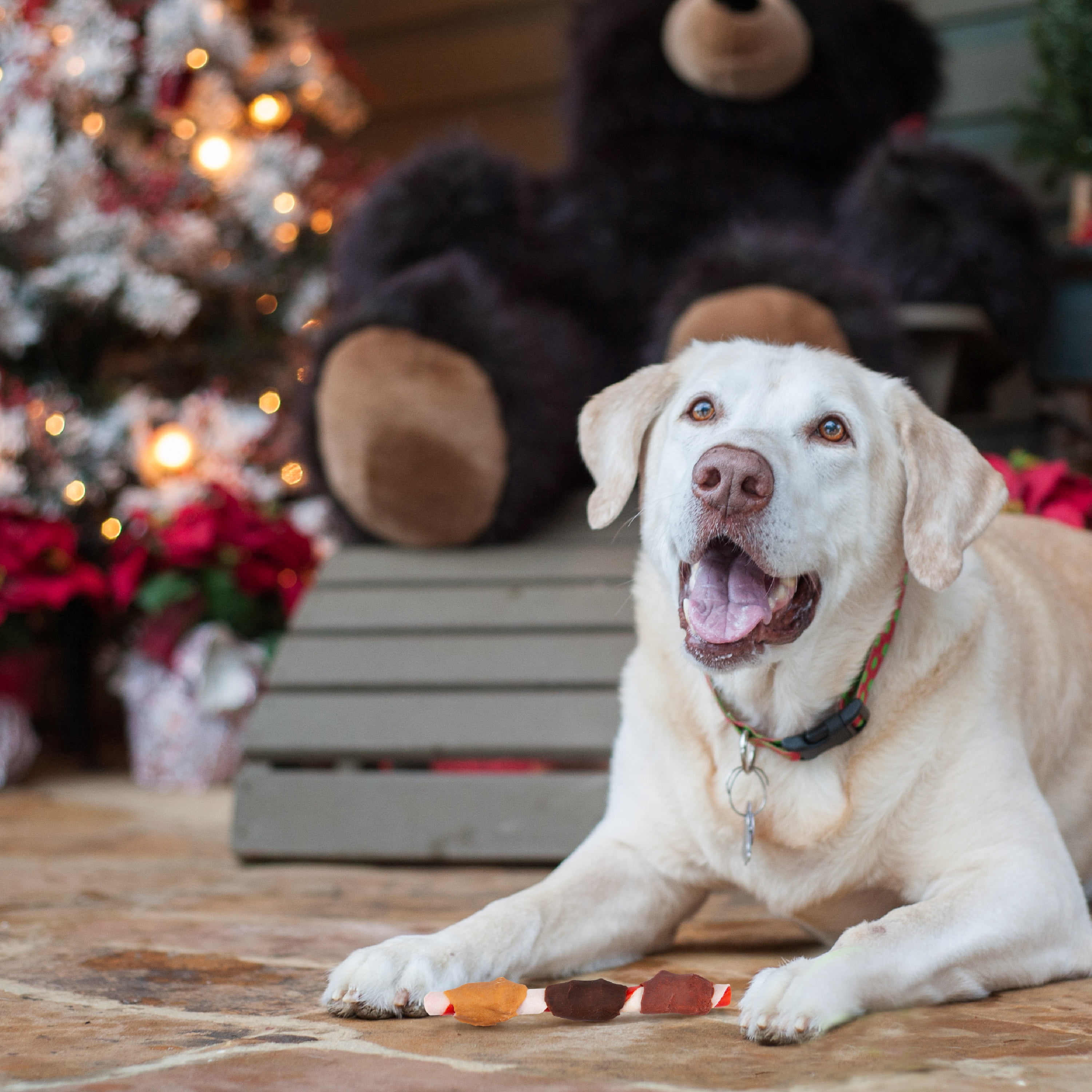 Good 'n' Fun Triple Flavor Jumbo Kabobs Holiday Chews for Large Dogs, 5 Count