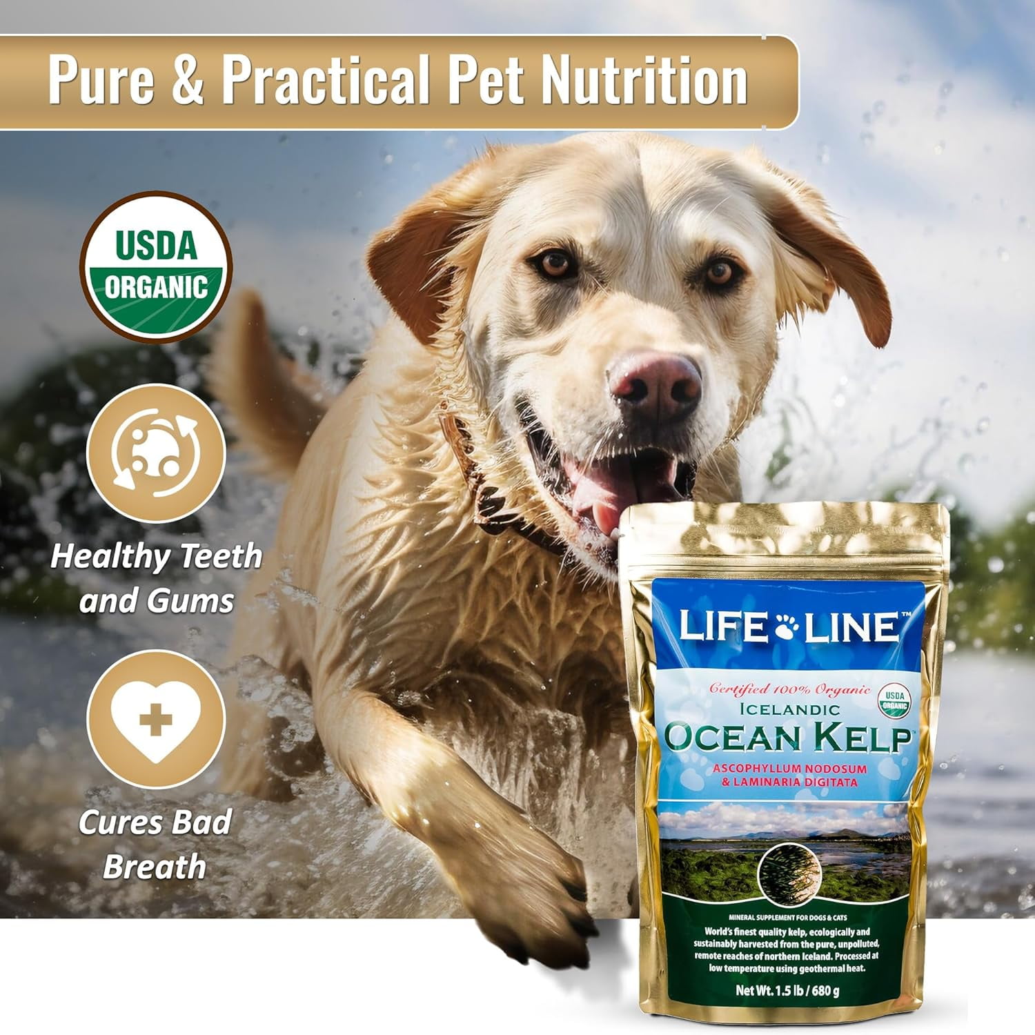 Organic Ocean Kelp Supplement for Pets – 1.5 LB – For Dogs & Cats – Promotes Healthy Skin, Coat & Immune Support – Rich in Natural Minerals & Omega-3