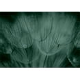thumbnail image 2 of Startonight Canvas Wall Art Black and White Abstract Beautiful Macro Flowers, Dual View Surprise Artwork Modern Framed Ready to Hang Wall Art 100% Original Art Painting 31.5 x 47.2 inch, 2 of 9
