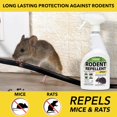 thumbnail image 2 of Peppermint Oil Mice & Rodent Repellent Spray for House and Car Engines, Humane Mouse Trap Substitute, 20oz, 2 of 4