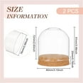 thumbnail image 2 of 2 Set Glass Display Dome with Cork Base 3.1x2.8 inch Tabletop Centerpiece Cloche Bell Jar for Flower Plants Specimens Crafts Decorations Inner Diameter: 76mm, 2 of 6