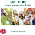 PerkyPet 245L Ant Guard for Hummingbird & Oriole Feeders Protects