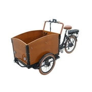 Electric Dutch Style Bike Carrying Kids Cargo Vending Cart