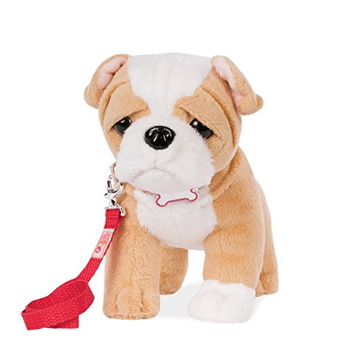 our generation dog