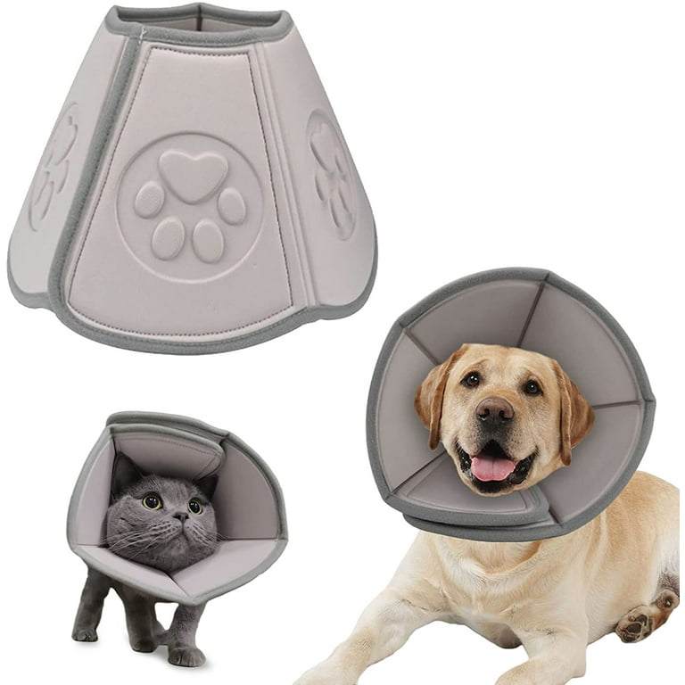 Dog cone best sale for paw licking