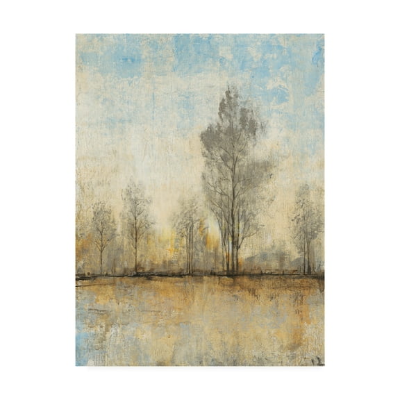 Trademark Fine Art 'Quiet Nature I' Canvas Art by Tim OToole