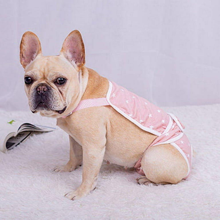 How to make dog sanitary pants 2025