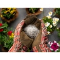 thumbnail image 6 of DIEHARD Ecto Root Dip Root Stimulant Plant Rooting Powder Root Stimulator for Plants Starter Root Booster Landscape Forestry Christmas Trees Root Enhancer for Plants, 16 oz., 6 of 6