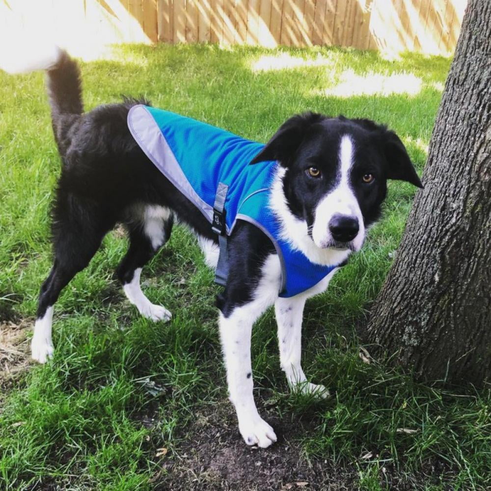dog cooling clothes