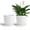 White, variant on EFISPSS 6 Inch Ceramic Plant Pots with Drainage Hole and Saucer, Desktop Office Windowsill Decoration, Flower Pots Indoor/Outdoor Set of 2 - Blue