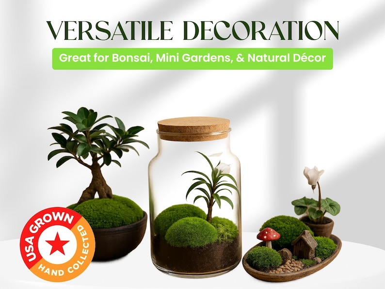 Live Moss Variety Pack for Terrariums – Fresh Live Moss – Natural Green Moss – Pet-Safe Moss for Reptile Tanks, Fairy Gardens, and Indoor Décor