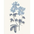 thumbnail image 2 of Wild Apple Portfolio 15x18 White Modern Wood Framed Museum Art Print Titled - Blue Botanical III, 2 of 4