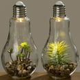 thumbnail image 6 of Edison Light Up Succulent Garden Terrariums, Set of 2, Clear Glass, Pebbles, Plastic and LED Blub, Push-Button On/Off Switch, 9 Inches, Batteries Included, 6 of 9