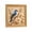 C, variant on 14x14 Inch Hummingbird Diamond Painting Kit, 5D Full Drill Round Diamond Dots Art and Crafts for Adult Home Wall Decor, 1Pc
