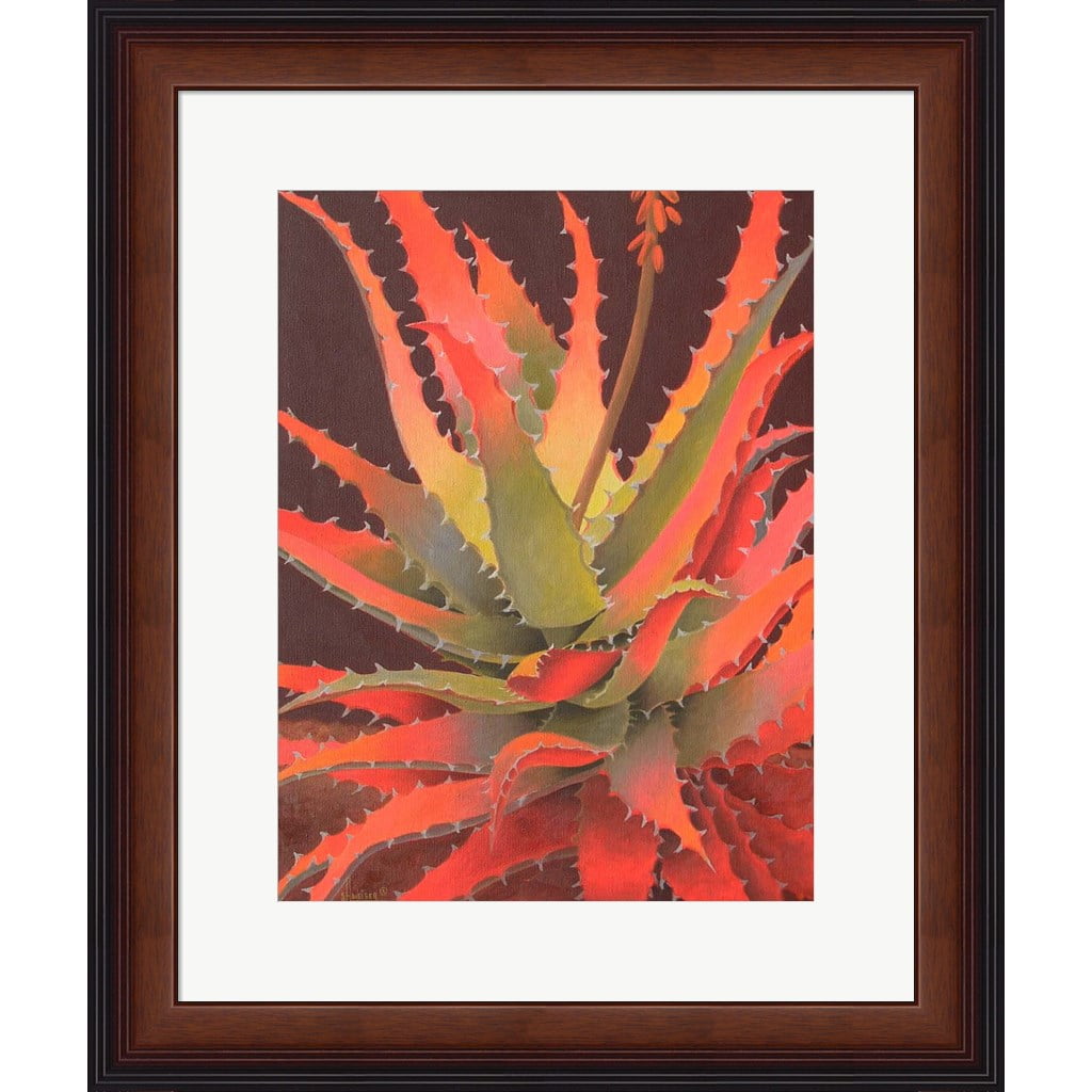 Sunset Agave Framed Print with Brown Stepped Frame