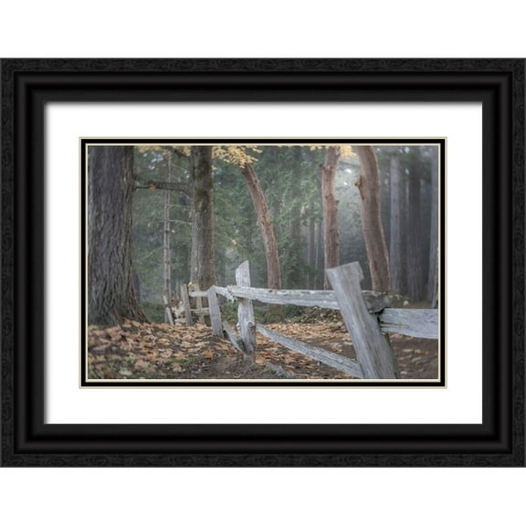 Jaynes Gallery 32x23 Black Ornate Wood Framed with Double Matting Museum Art Print Titled - Washington State-Seabeck Split-rail fence and forest