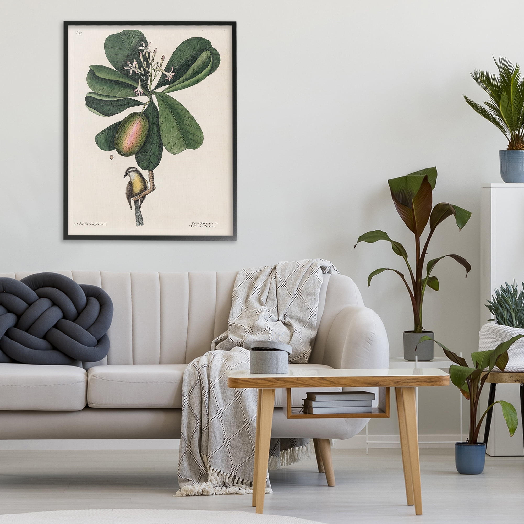 Stupell Industries Catesby Flora & Fauna Black Framed Giclee Art, design by Print Collection