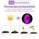 thumbnail image 5 of Toystoory 0,5/1/2/3m USB Phytolamps Grow 5V LED recortable planta de interior tira Flexible autoadhesiva lámpara de cultivo Jardín y Patio 0.5 m, 5 of 6