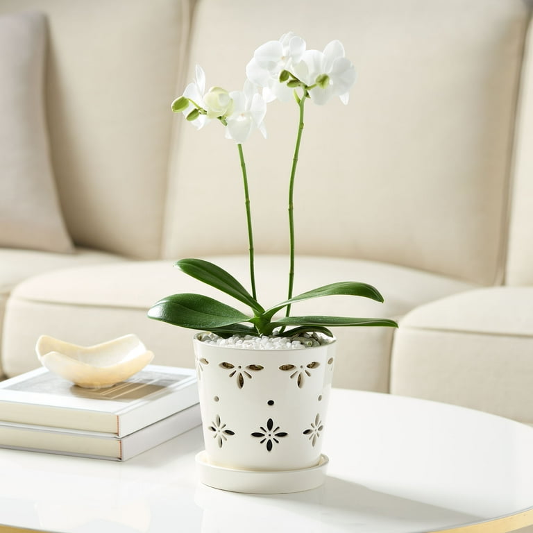 Mainstays 6”D x 6”H Round Ceramic Orchid Planter, White for Small