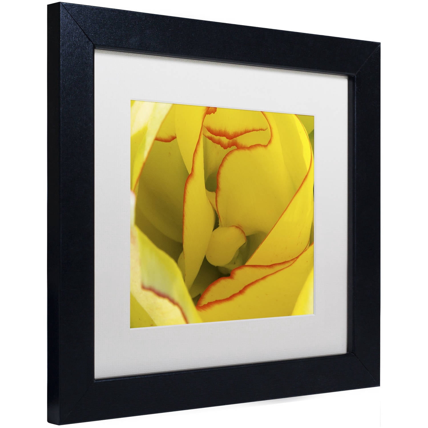 Trademark Fine Art "Inside a Beautiful Tulip" Canvas Art by Kurt Shaffer, White Matte, Black Frame