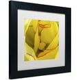 thumbnail image 2 of Trademark Fine Art "Inside a Beautiful Tulip" Canvas Art by Kurt Shaffer, White Matte, Black Frame, 2 of 4