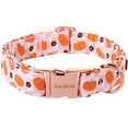 thumbnail image 1 of Collar para perro de estilo único con hebilla metálica para otoño e invierno, 1 of 7