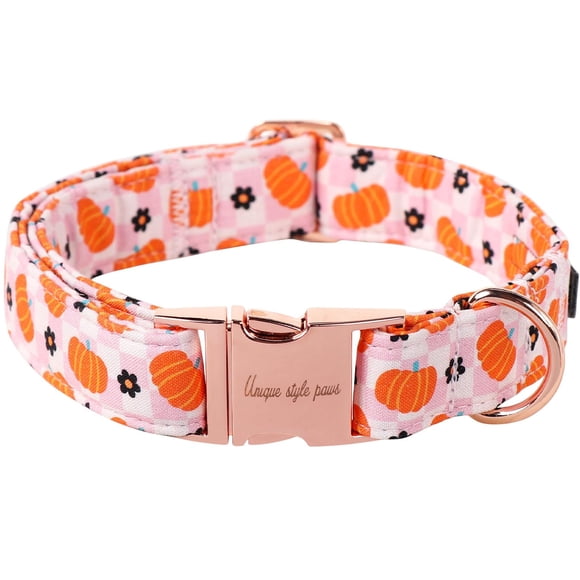 Collar para perro de estilo único con hebilla metálica para otoño e invierno