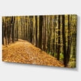 thumbnail image 2 of Dense Autumn Forest Woods - Modern Forest Canvas Art, 2 of 3