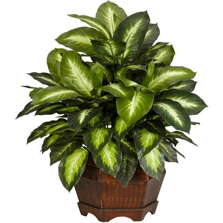 Golden Dieffenbachia Silk Plant