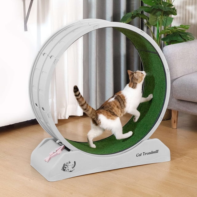 HOXPETY Roue d'Exercice pour Chat avec Tapis de Course, Grande Roue de Course avec Jouet en Plumes de Chat, Roue de Tapis Roulant pour Perte de Poids et Santé, Gris