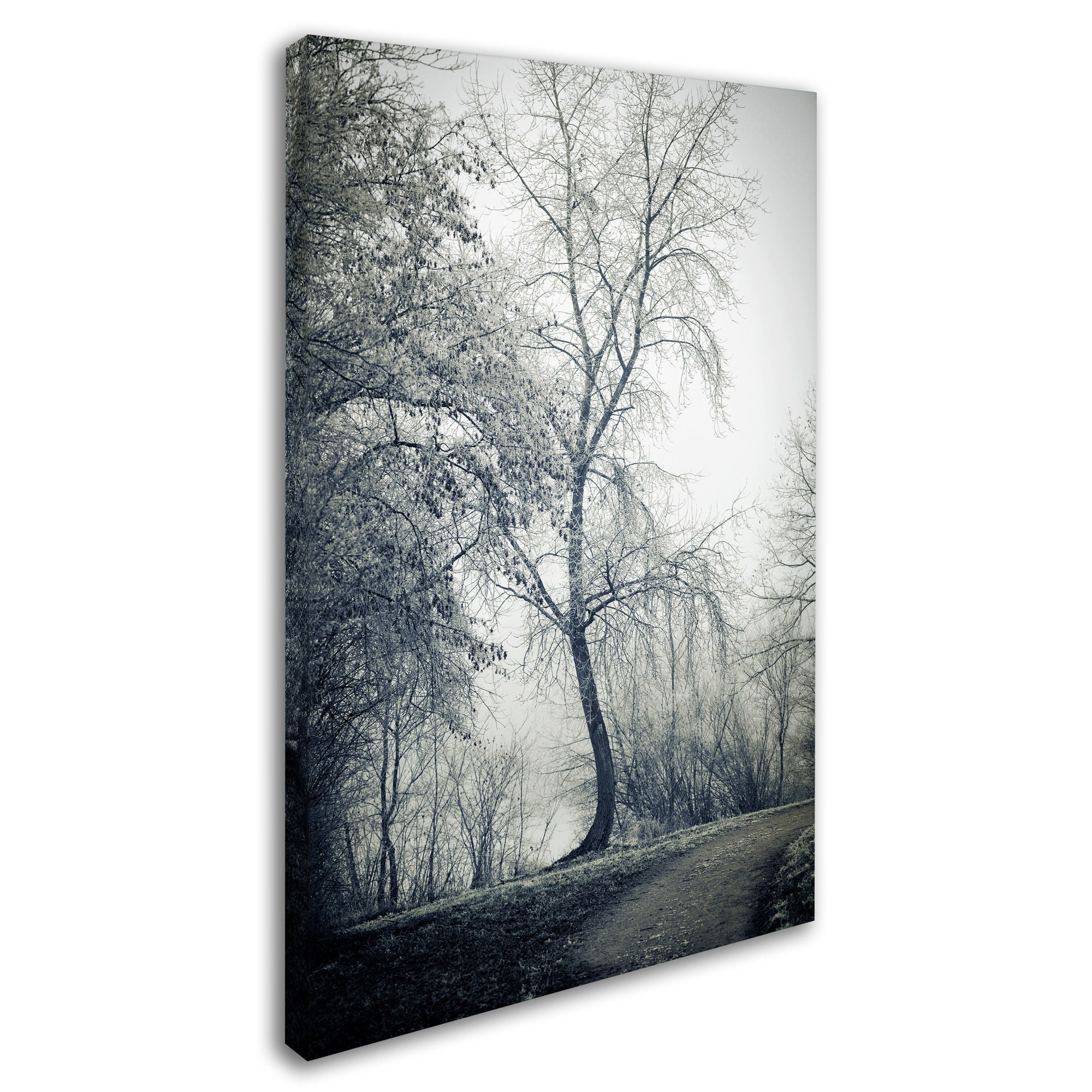 Past Lives' Canvas Art by Philippe Sainte-Laudy