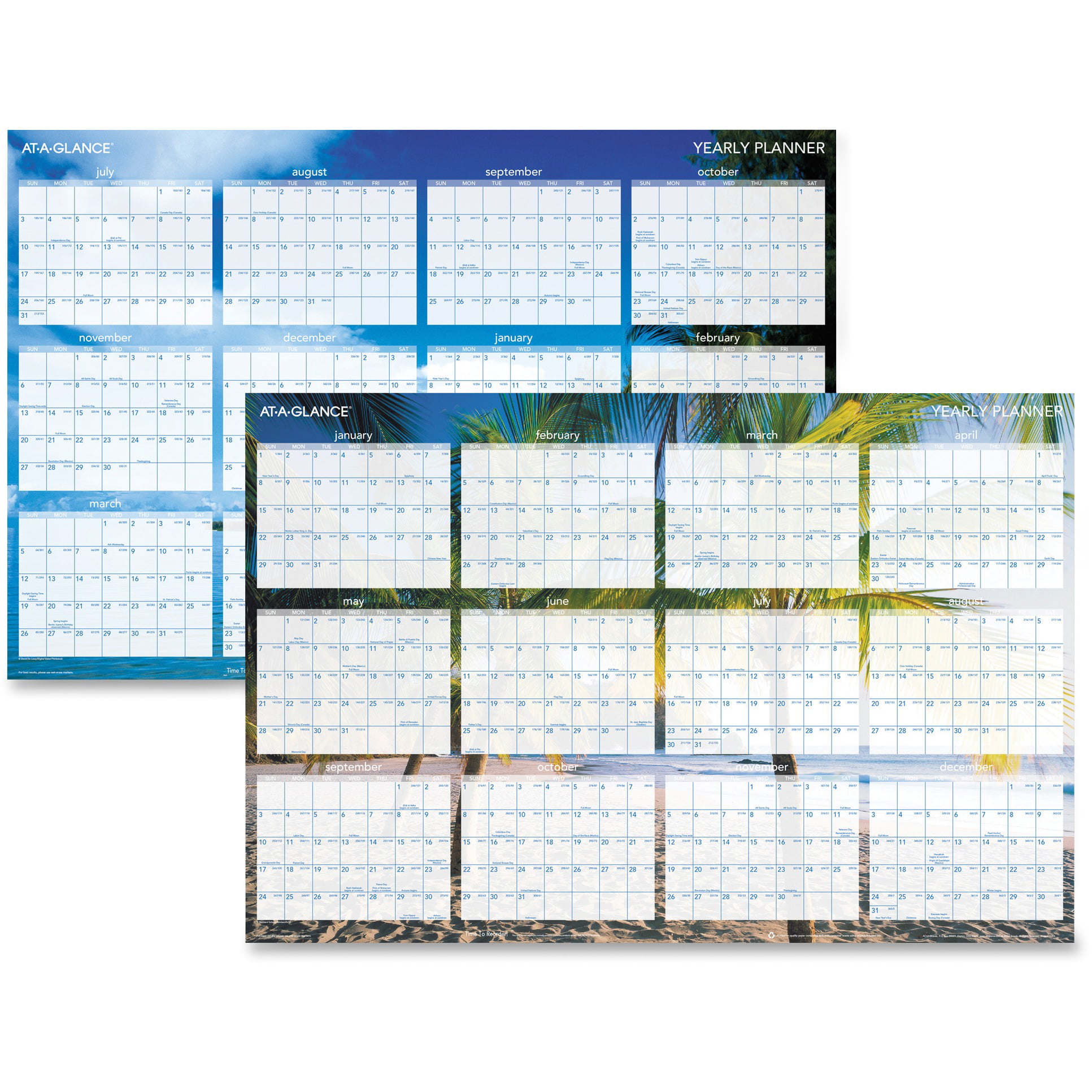 At-A-Glance Tropical Wall Calendar Erasable 12 Month Jan-Dec 24"x36" BE