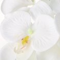 thumbnail image 4 of 8x de gran 93 cm Faleanopsis arreglo es adorno floral para pieza central Gloria Flores artificiales de orquídeas, 4 of 5