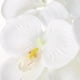 thumbnail image 4 of 8x de grande de 93 cm Faleanopsis arreglo de flores adorno floral para pieza central BLESIY Flores artificiales de orquídeas, 4 of 5