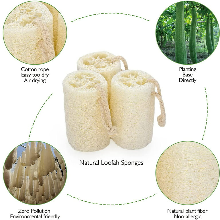 Natural Loofah Exfoliating Sponge (4 Pack) - Loofa Body Scrubber - Loofah  Sponge - Loofah Exfoliating Body Scrubber - Organic Loofah - Shower Luffa