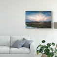 thumbnail image 3 of Trademark Fine Art Landscape Canvas Art ' Low Country Sunset Iii ' by Danny Head, 3 of 4
