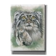 thumbnail image 1 of Epic Graffiti 'Rowdy' by Barbara Keith, Canvas Wall Art, 12"x16", 1 of 8