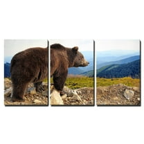 wall26 - 3 Piece Canvas Wall Art - Big Brown Bear (Ursus Arctos) in the Mountain - Modern Home Decor Stretched and Framed Ready to Hang - 16"x24"x3 Panels