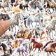 thumbnail image 2 of Pegatinas de vinilo, 60 unidades por lote, animales, caballos, impermeables, anime, 2 of 4