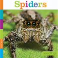 thumbnail image 1 of Spiders, 1 of 1