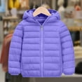 thumbnail image 5 of Cethrio Boys Hooded Puffer Jacket, Thermal Full Zip Windproof Waterproof Kids Winter Coats Purple Size 6, 5 of 5