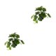 thumbnail image 3 of Plantas artificiales Inteprter hoja de tortuga decoración de hogar, 3 of 6