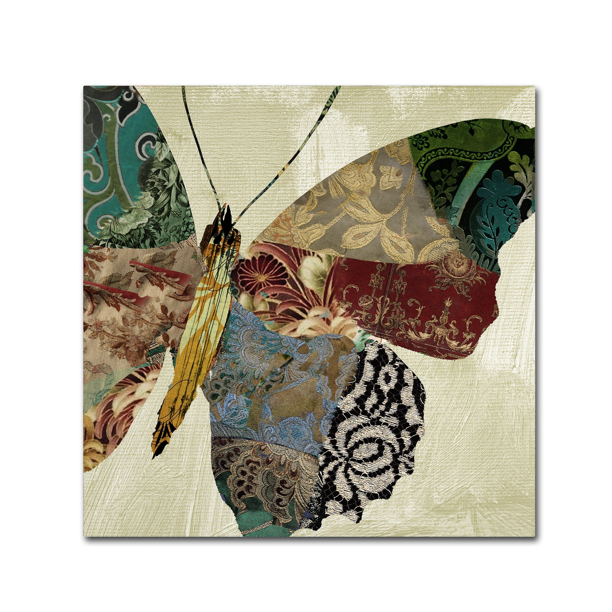 Trademark Fine Art "Butterfly Brocade II" Canvas Art by Color Bakery
