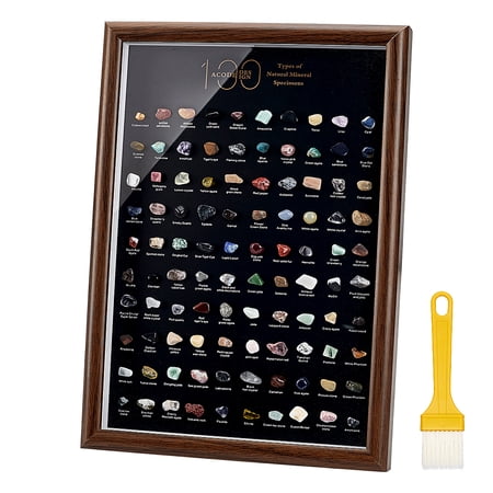 Natural Gemstones Collections Photo Frame Display Decoration for Earth Science Teaching 320x230x30mm