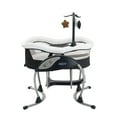 thumbnail image 4 of Graco DuoGlider Swing, Britton, 4 of 4