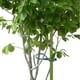 thumbnail image 5 of Bridas Para Cables, Bridas De Plástico Autoblocantes, Bridas De Jardín Multiusos Para Plantas, Vides Y Vegetales 50 Uds. Inevent HA036647-00, 5 of 6