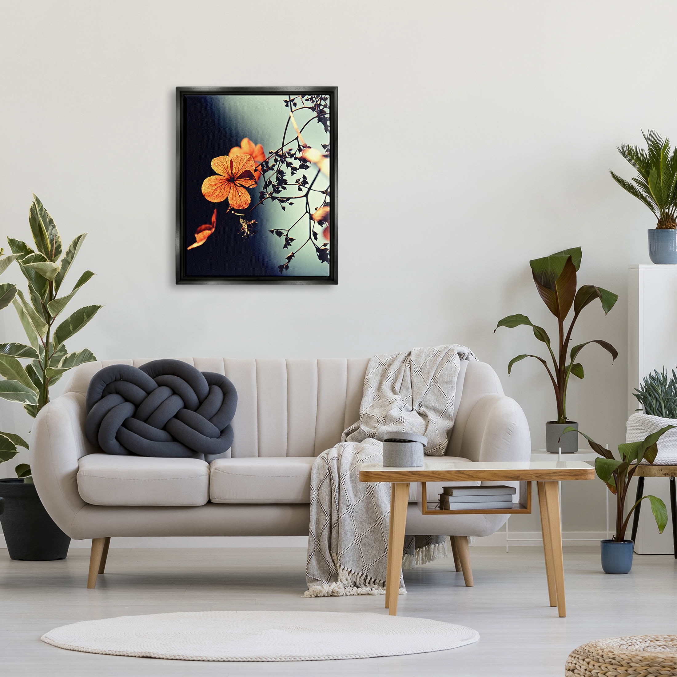 Stupell Industries Sunlit Detailed Floral Petals Photograph Jet Black Floating Framed Canvas Print Wall Art, Design by Lil' Rue